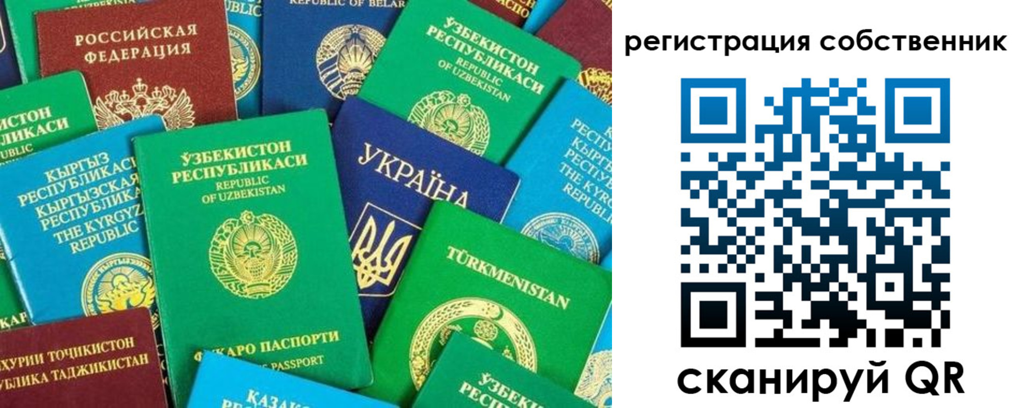 прописка в Пущино